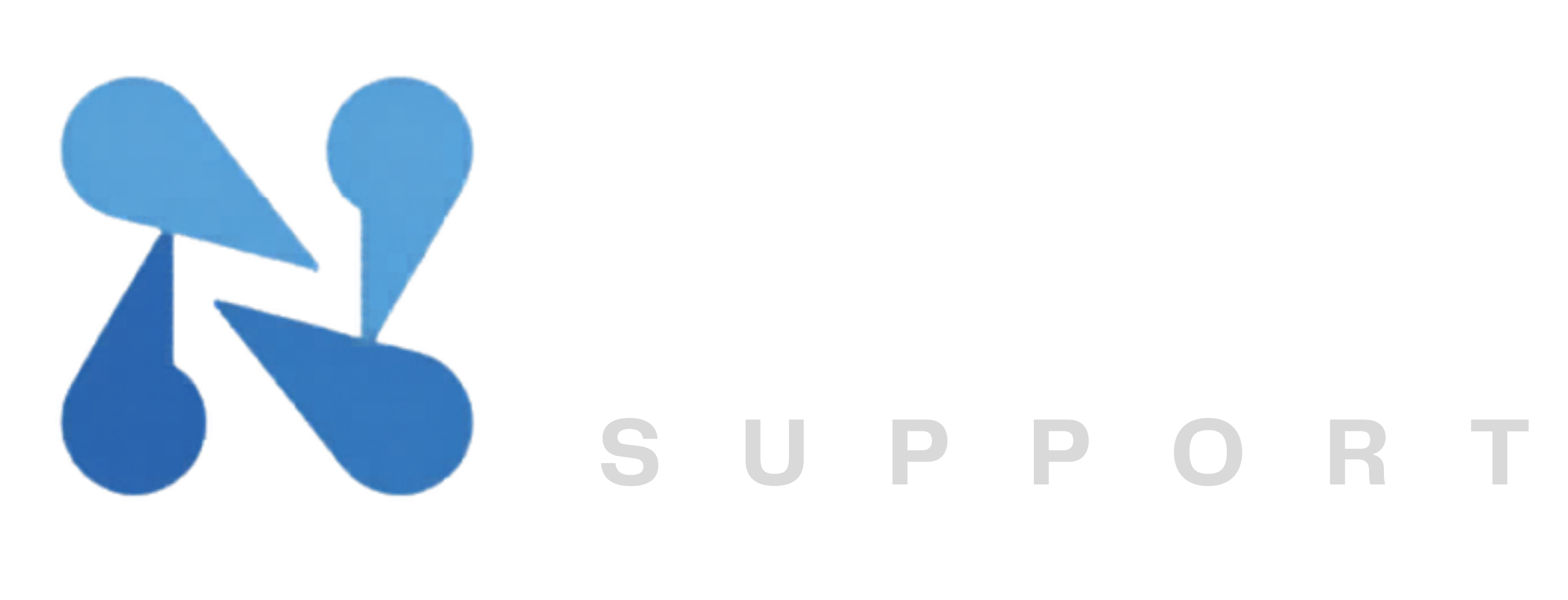 Nexus Support logo